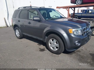FORD FORD ESCAPE XLT