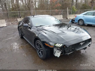 FORD FORD MUSTANG ECOBOOST FASTBACK