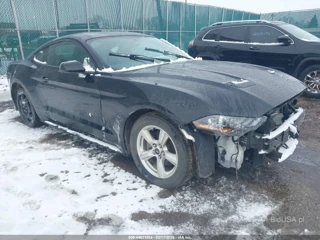 FORD FORD MUSTANG ECOBOOST