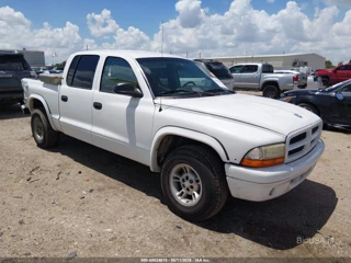 DODGE DODGE DAKOTA SLT/SPORT