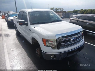 FORD FORD F-150 XLT