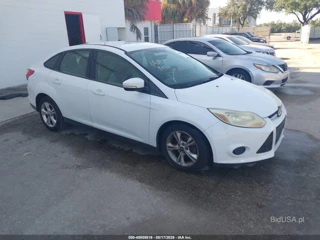 FORD FORD FOCUS SE