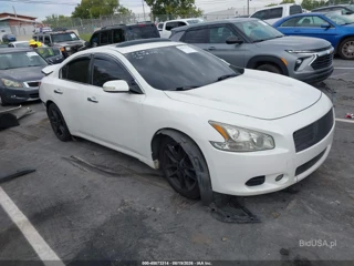 NISSAN NISSAN MAXIMA 3.5 SV