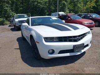 CHEVROLET CHEVROLET CAMARO 1LT