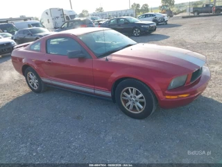 FORD FORD MUSTANG V6
