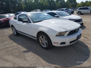 FORD FORD MUSTANG V6