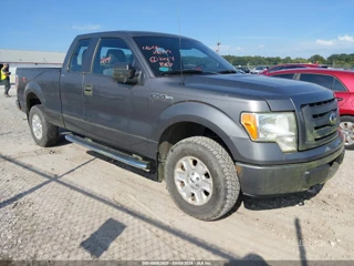 FORD FORD F-150 STX