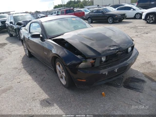 FORD FORD MUSTANG GT