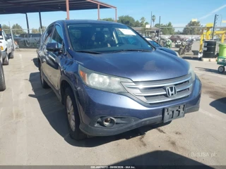 HONDA HONDA CR-V EX