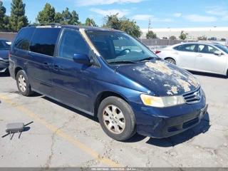 HONDA HONDA ODYSSEY EX-L