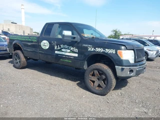 FORD FORD F-150 XL/XLT