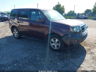 HONDA HONDA PILOT EX-L