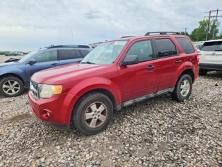 FORD ESCAPE XLT