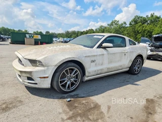 FORD MUSTANG GT
