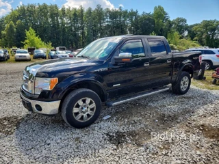 FORD F150 SUPERCREW
