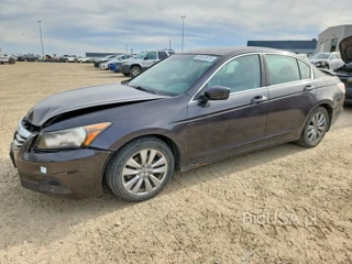 HONDA ACCORD EXL