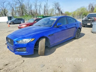 JAGUAR XE R - SPORT