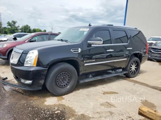 CADILLAC ESCALADE LUXURY