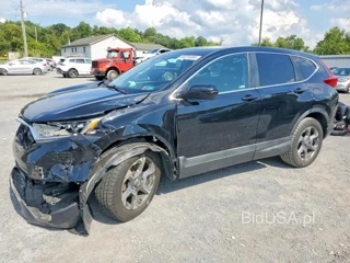HONDA CR-V EX