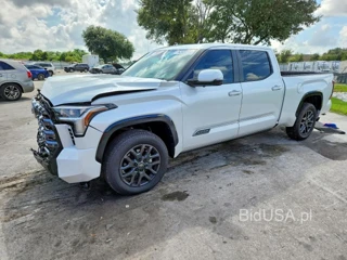 TOYOTA TUNDRA PLATINUM