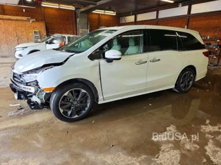 HONDA ODYSSEY ELITE