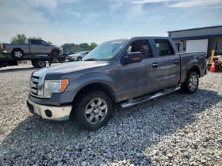 FORD F150 SUPERCREW