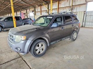 FORD ESCAPE XLT