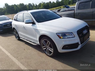 AUDI AUDI SQ5 3.0T PREMIUM PLUS