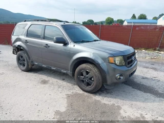 FORD FORD ESCAPE XLT