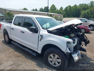 FORD FORD F-150 XLT