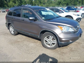 HONDA HONDA CR-V EX