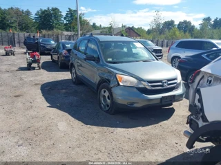 HONDA HONDA CR-V LX