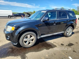 FORD ESCAPE LIMITED