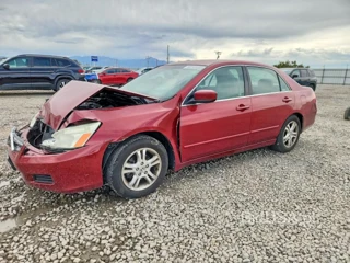 HONDA ACCORD SE