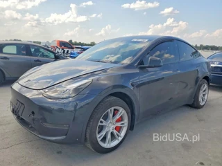 TESLA MODEL  Y