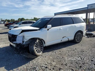 HYUNDAI PALISADE CALLIGRAPHY