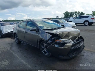 TOYOTA TOYOTA COROLLA LE