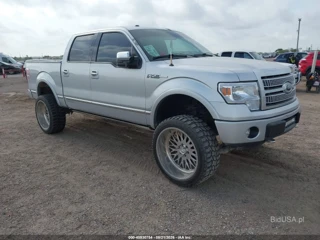 FORD FORD F-150 PLATINUM