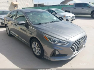 HYUNDAI HYUNDAI SONATA ECO