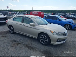 HONDA HONDA ACCORD EX