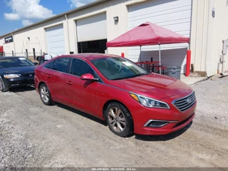 HYUNDAI HYUNDAI SONATA SE