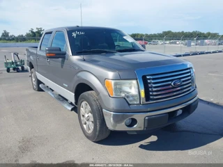 FORD FORD F-150 XLT