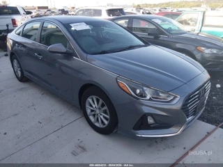 HYUNDAI HYUNDAI SONATA ECO
