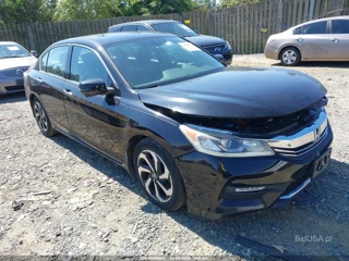 HONDA HONDA ACCORD EX-L V-6