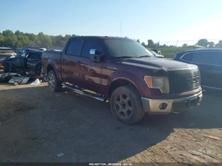 FORD FORD F-150 FX4/KING RANCH/LARIAT/PLATINUM/XL/XLT