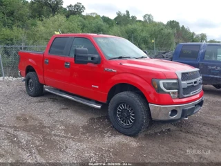 FORD FORD F-150 XLT
