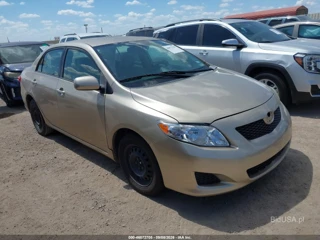 TOYOTA TOYOTA COROLLA LE