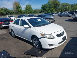 TOYOTA TOYOTA COROLLA LE
