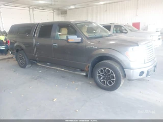 FORD FORD F-150 FX4/HARLEY-DAVIDSON/KING RANCH/LARIAT/PLATINUM/XL/XLT