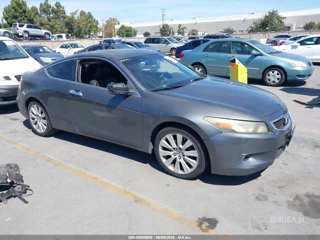 HONDA HONDA ACCORD 3.5 EX-L